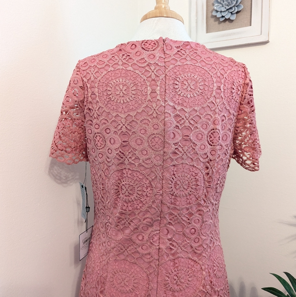 Laundry by Shelli Segal Lace Sheath Mini Dress Vintage Rose Pink 14 Petite - Picture 8 of 10